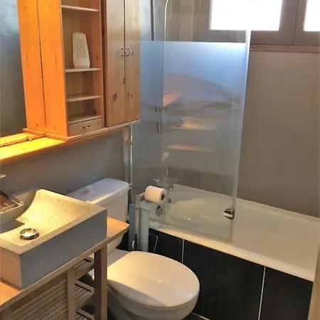 T2 Aux 2 Alpes - Pied Des Pistes - Centre Station *