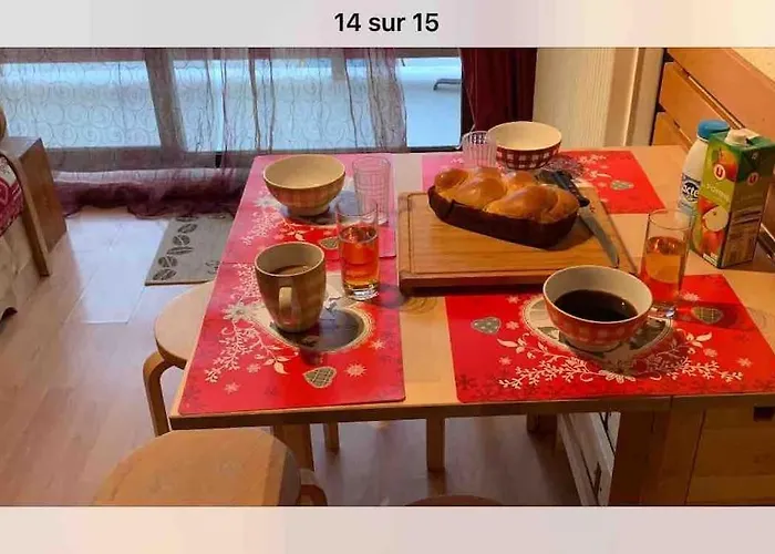 Apartment T2 Aux 2 Alpes - Pied Des Pistes - Centre Station Les Deux Alpes