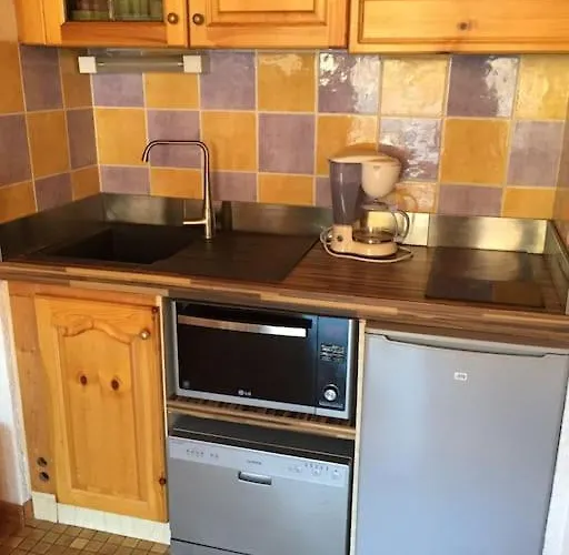 T2 Aux 2 Alpes - Pied Des Pistes - Centre Station Apartment